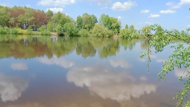 Розлив річки Десна 16.05.2021 смотреть онлайн
