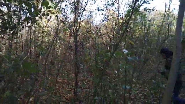 Челлендж 24 часа в лесу .Мы в лесу.Наши самый большой гриб. Потерялись смотреть онлайн