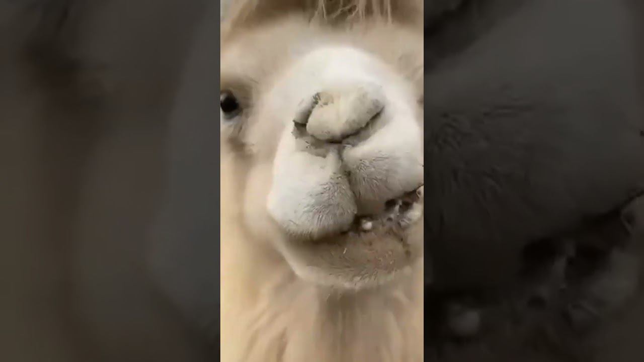 Остренькое к пиву смотреть онлайн