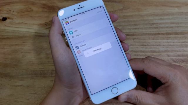 Dopamine Jailbreak iPhone 6s - iPhone X | A9 - A11 | iOS 15.0 - 16.6.1 смотреть онлайн