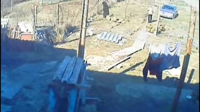 Саки Крым Чесноковы творят беспридел помогите смотреть онлайн