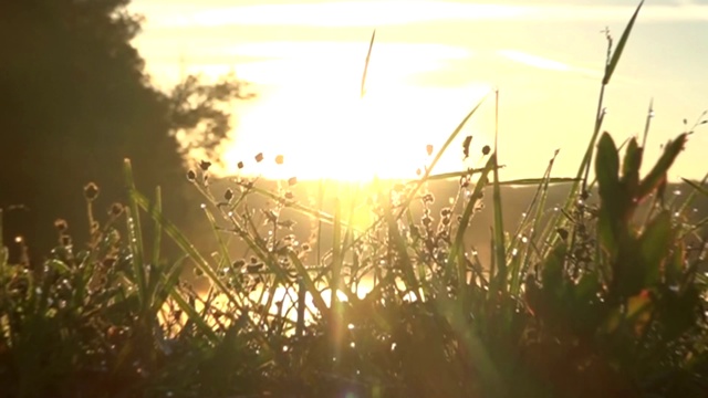 А. Закшевский ЗА ТОБОЙ