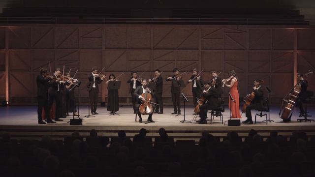 2022 Highlights #16 - Luka Galuf joins the Zagreb Soloists смотреть онлайн