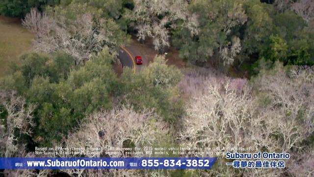 SUBARU OF ONTARIO - ASIAN TV FEBRUARY 2017 смотреть онлайн
