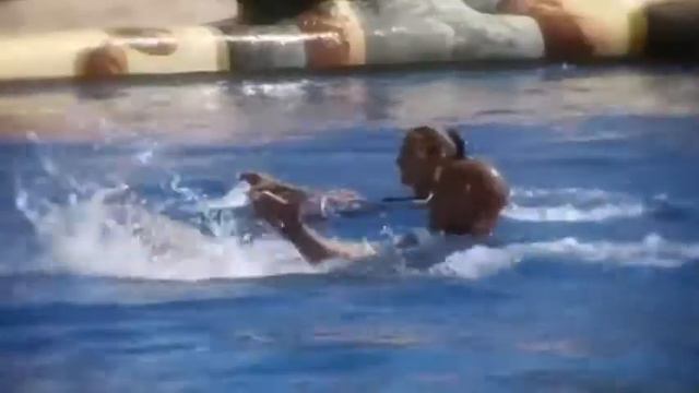 Шоу дельфинов, Aqualand Tenerife Канарские острова смотреть онлайн