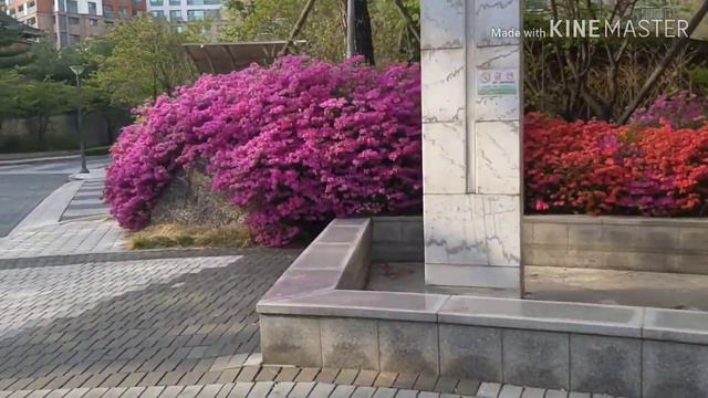 ДЖАЛАЛЕДДИН РУМИ❤ПРИТЧА ОБ УКРАДЕННОМ ОСЛЕ. смотреть онлайн