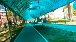 Санаторий Приднепровский Беларусь..питание..процедура прессование ног..можно ли ехать с детьми