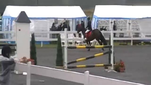Munsboro Aussie La i Tollstad 2009 смотреть онлайн