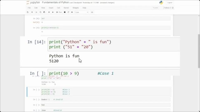 Module 2 || Fundamentals of Python смотреть онлайн
