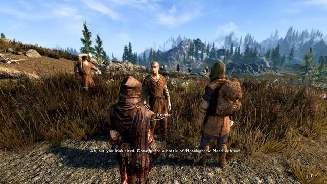 Confrontational Khajiit picking fights with random NPCs in Skyrim смотреть онлайн