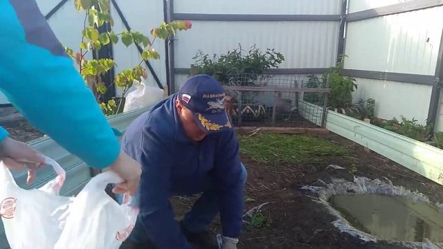 Взвешивание гусей смотреть онлайн