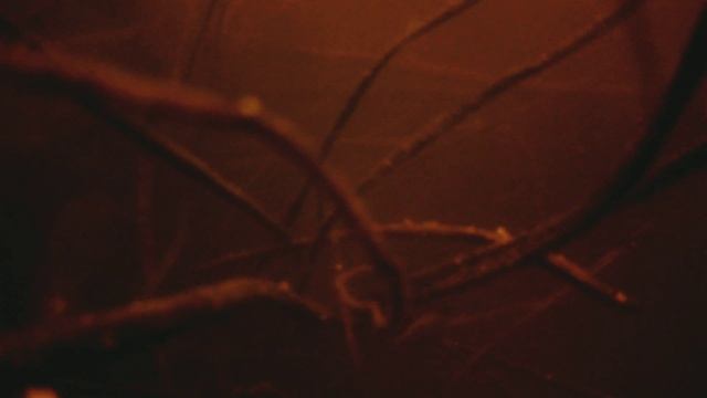 Карась в ноябре.Спит или нет? смотреть онлайн