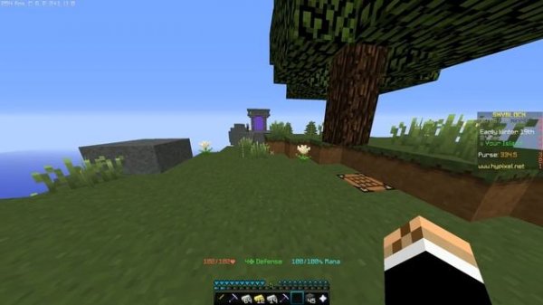 Hypixel Skyblock Guide - Profile Management (Co-op Guide)