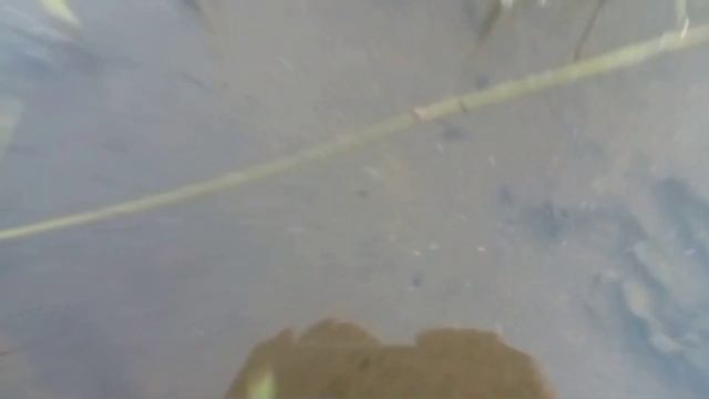 VLOG #vlog #влог #влоги #влоги2023 смотреть онлайн