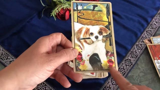 Wise Dog Tarot Cards Deck смотреть онлайн
