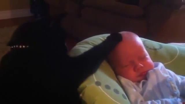 Кот убаюкивает плачущего ребенка смотреть онлайн