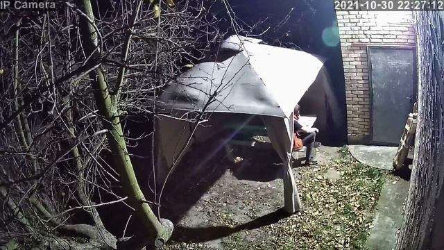 Незваный гость, НОЧЬЮ на даче... Видео камеры наблюдения справились. смотреть онлайн