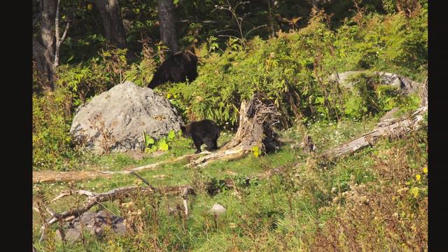 september east hokkaido 2021 смотреть онлайн