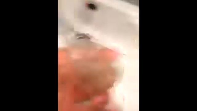 Копанные бутылки / Как отмывать смотреть онлайн