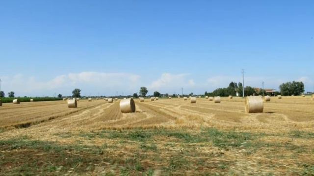 Caorso e dintorni смотреть онлайн