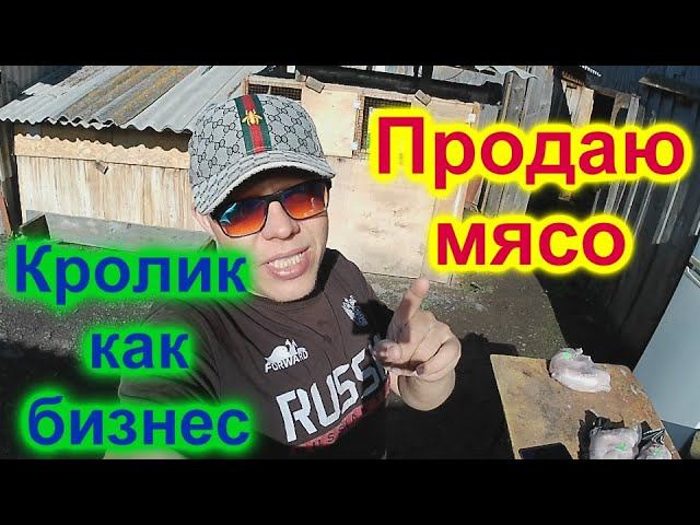 Как я продаю мясо кролика. Мой опыт!!! Кролики и бизнес!!! смотреть онлайн