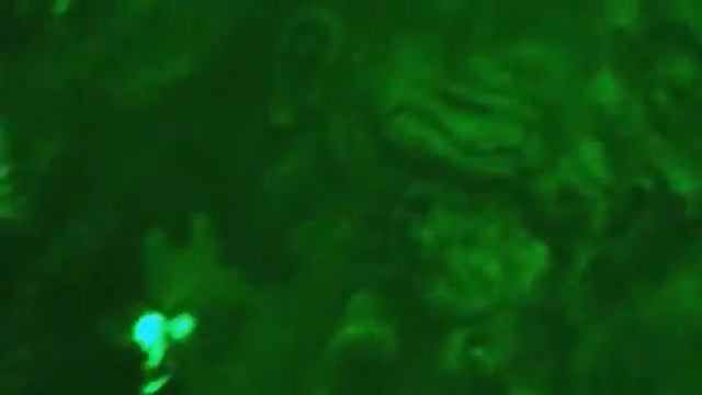 Lovec trolů CZ Dabing смотреть онлайн