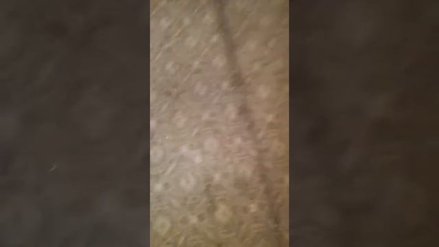 Мода и Стиль для Подростков