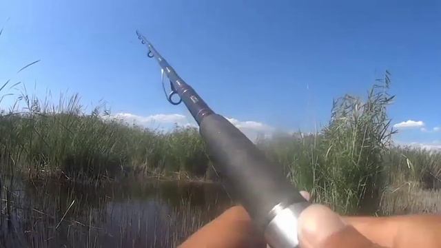 Рыбалка.Речные монстры сезон 1. Ловля змей головы!!! смотреть онлайн