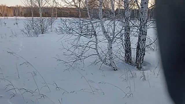 Здоровье это всегда чистота. смотреть онлайн