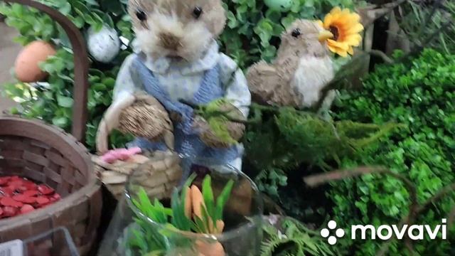 Армения.Ереван.Петак.Покупки.Красота на Пасху. Сажаю пшеницу.Нарцисс расцвёл/ Փեթակ,Զատիկի պարագանե