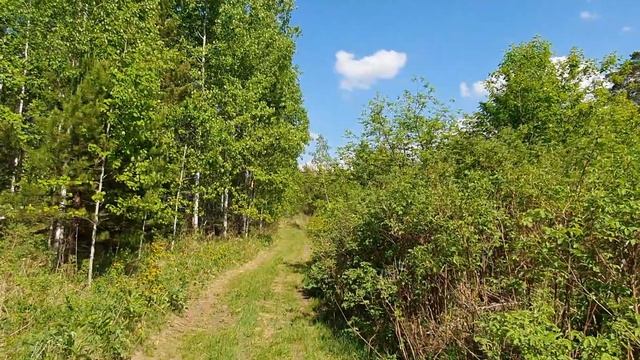 КАК НАЛОМАТЬ ДРОВ? / ЗАКОН О СБОРЕ ВАЛЕЖНИКА / Как Он Работает? / Поехал В Лес смотреть онлайн