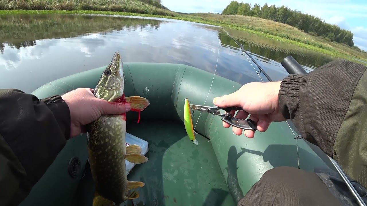 Осенняя Щука на спиннинг | Разловил новый воблер