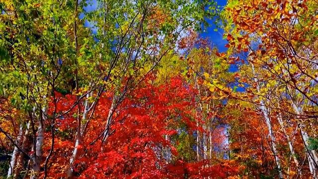 Красивая Атмосферная Инструментальная Музыка для души! Красивое видео/Beautiful instrumental music смотреть онлайн