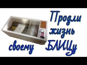 Доработка инкубатора и правила инкубации. Эксперимент и результат