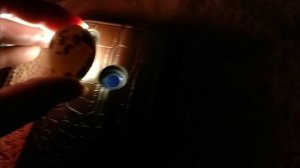 Овоскопирование перепелиных яиц на разных сроках