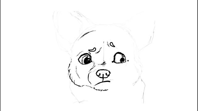 Let's SKETCH! #1 Chihuahua смотреть онлайн