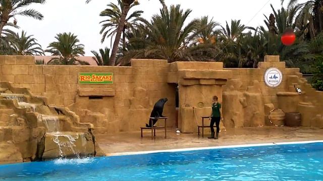 043 Рио Сафари Эльче! Rio Safari Elche! Часть 3! 30.09.17 смотреть онлайн