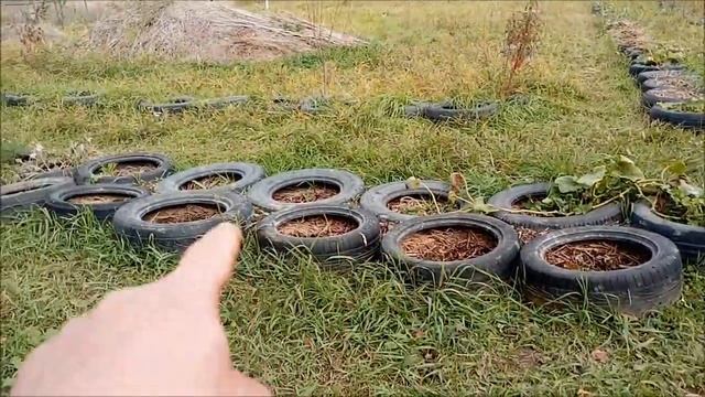 Ленивый огород, закрытие сезона 2022 смотреть онлайн