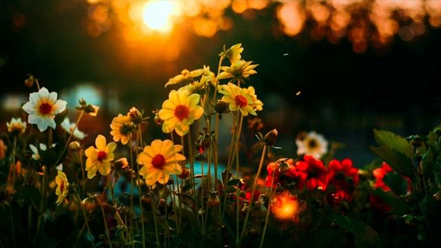 КАК ПЕРЕЖИТЬ ГОРЕ И УТРАТУ смотреть онлайн