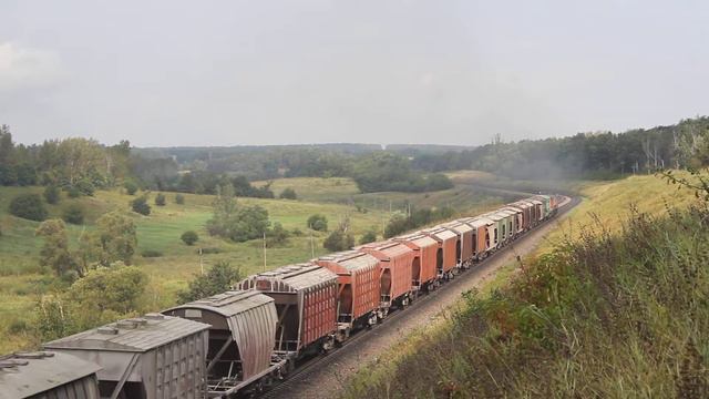 2ТЭ10М-2038 с грузовым поездом, перегон Ефремов - Малая Андреевка смотреть онлайн