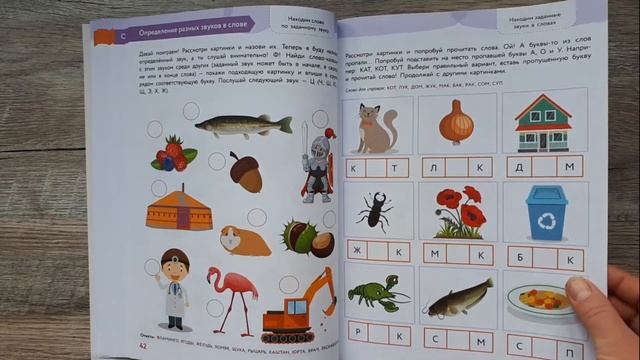 ЗАКЛАДЫВАЕМ ОСНОВЫ ГРАМОТНОСТИ - Янушко: обзор смотреть онлайн