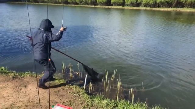 Лобня.Луговая.Рыболовный клуб Зелёный берег. Форелевая рыбалка смотреть онлайн