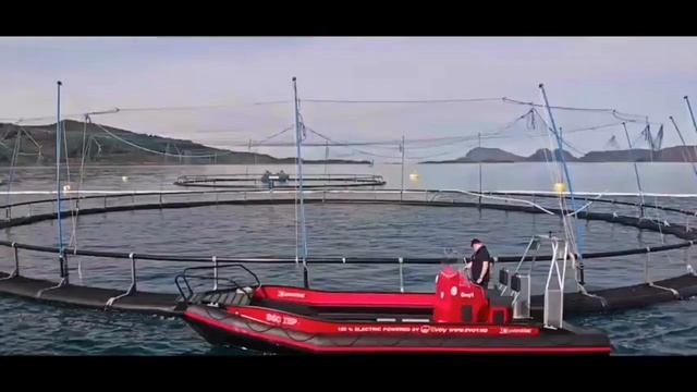 Будущее наступило катера Evoy Пнд Норвегия на электро двигателе!!!! #Пнд #катера#лодки смотреть онлайн
