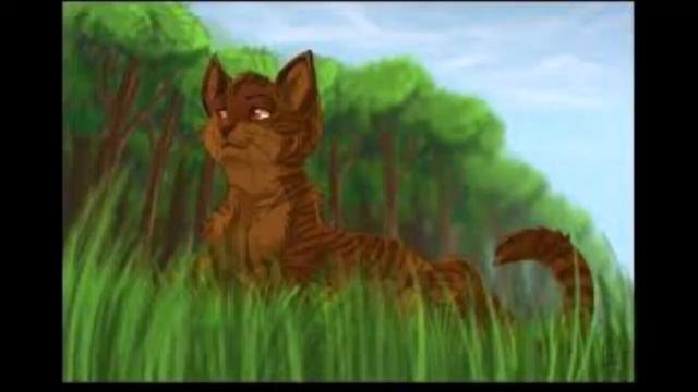 Коты воители история Уголька... смотреть онлайн