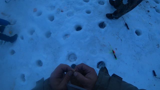 Кольсай| Рыбалка | форель