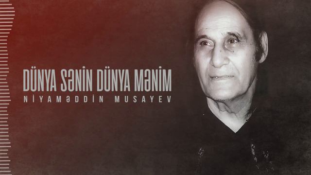 Niyaməddin Musayev - Dünya Sənin, Dünya Mənim (Remix By DJ ScreaM)