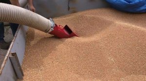 пневмотранспортер Т449