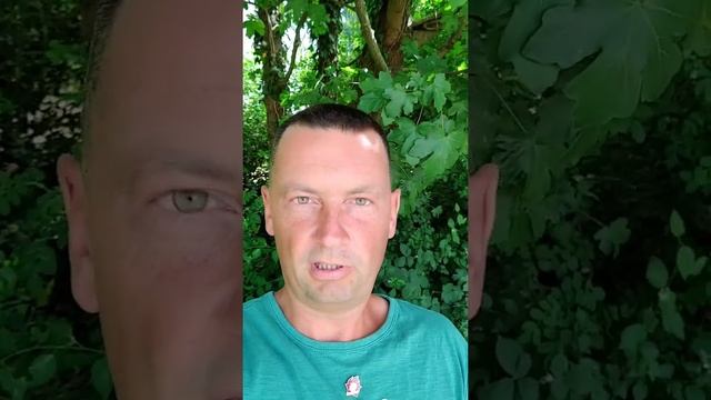 Дьявол - еврейские деньги! смотреть онлайн