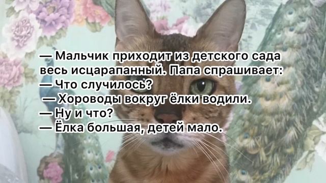 Вопрос знатокам. Анекдоты, шутки, смех. смотреть онлайн