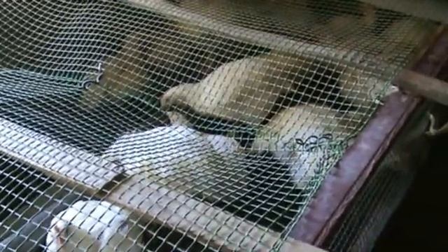 Сглазил.... смотреть онлайн